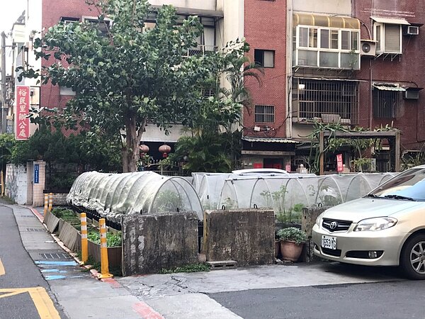在裕民里辦公室前的空地有一塊特地打造的城市菜圃。圖/胡珈瑋攝影