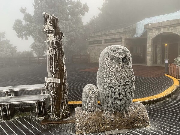 太平山莊周邊霧淞、結霜明顯。圖/取自「太平山國家森林遊樂區」臉書粉專,信偉攝影