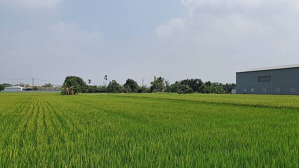 台中市有耕地租金1月開徵,農民須繳納租金與去年相同。圖/台中市地政局提供