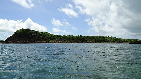 根據東京不動產經紀商Blue Ocean Point,查詢日本無人島的筆數直線飆升。圖/聯合報