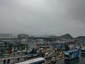 強寒又斷電　養殖漁業寒害意外慘