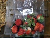 2批日本草莓農藥、鎘超標　譚敦慈教怎麼洗掉農藥最有效