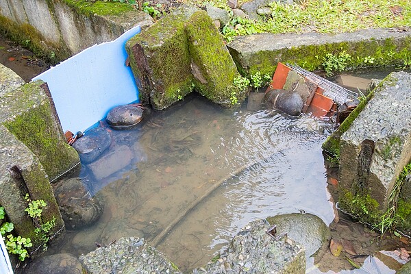 月眉里污水下水道完成後,水質大為改善。圖/桃園市政府提供