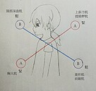 年輕族群「上交叉症候群」日增　竟是愛滑手機害的