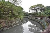 淡水樹梅坑溪長期淤積還冒沼氣　居民抱怨不堪其擾