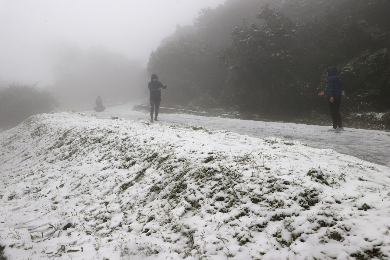 陽明山真的下雪了。記者蘇健忠／攝影