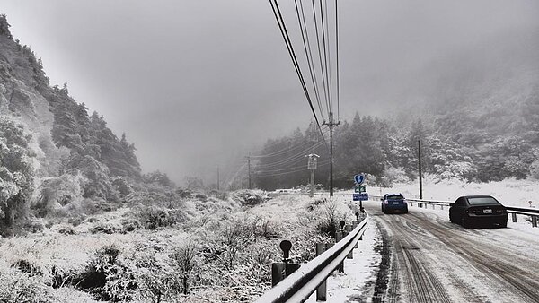 台七甲線思源埡口積雪深達5公分，山林結滿霧淞冰霜，堪稱全台獨一無二的冰天雪地美景。（武陵農場提供／王文吉台中傳真）