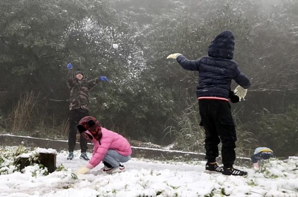 陽明山凌晨下雪，吸引數百民眾上山賞雪。記者蘇健忠／攝影