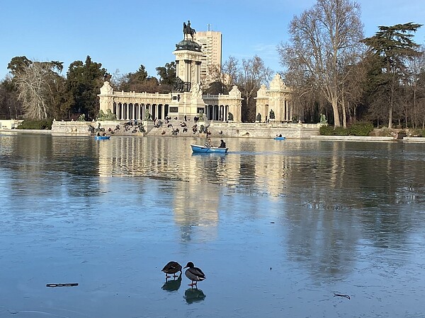 馬德里市中心麗池公園的一個池塘6日水面結凍，有人因此拍到兩隻鴨子直接在冰上閒晃。圖／截自Twitter@RNavas_