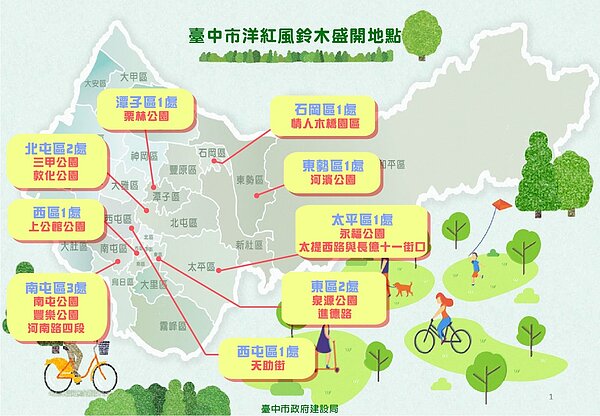 洋紅風鈴木懶人包。圖/台中市建設局提供