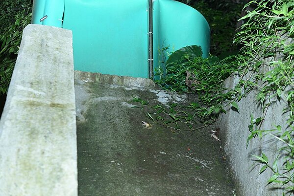 青蛙使用路殺改善設施(斜坡道)。圖/新北市農業局提供