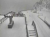 入冬第三波寒流報到　合歡山又降雪、武嶺披白毯美翻了