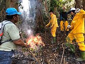 去年高屏森林火災創新高　田寮林地改種耐燃林木