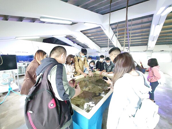 復育園區導覽活動中深受大朋友及小朋友所喜愛的海洋生物零距離接觸體驗。圖/新北市府提供
