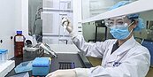 台廠新冠疫苗　年中可望獲緊急授權