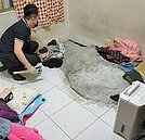 真的買到半價房！　新莊凶宅同棟交易兩樣情