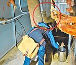 草泥馬逛夜店　動保處稽查後匿蹤