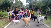 林口動物友善幼兒園　生命教育向下紮根