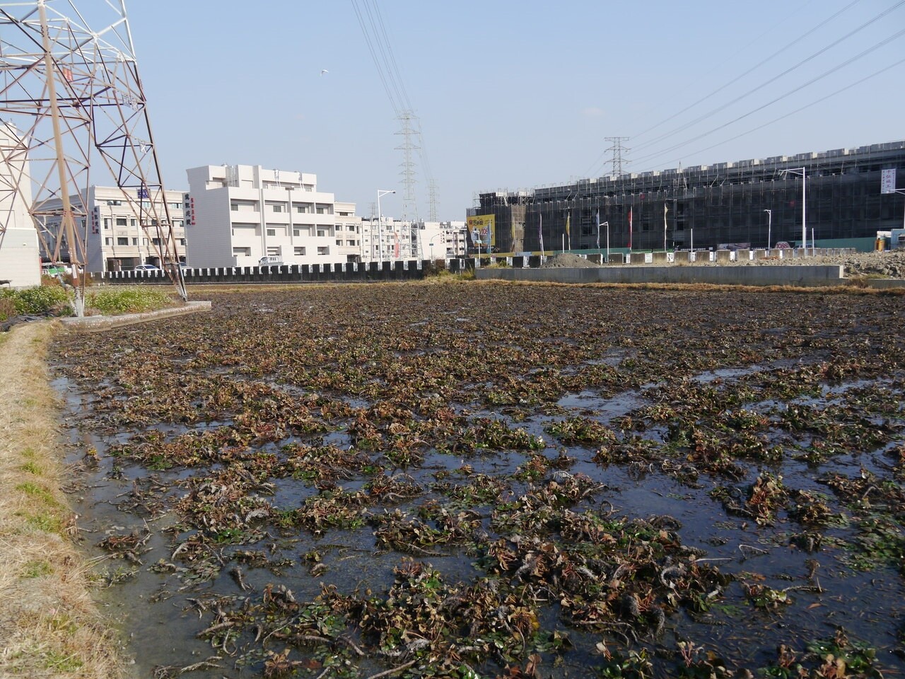 高市仁武區外來人口移入增20％，畫入「澄清湖特定區」的社區風貌改變最大。圖／記者徐白櫻攝