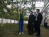 高雄推智慧農業　最高補助50萬