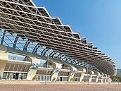 防疫取消賽事　國體場養蚊子