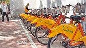 新北YouBike前30分鐘免費　將喊卡