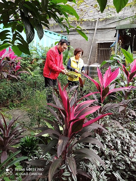 夫妻倆胼手胝足，綠化出一座休閒小花園。圖／夏曉山攝影