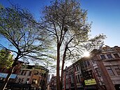 走進大稻埕公園　認識舊城新樣貌