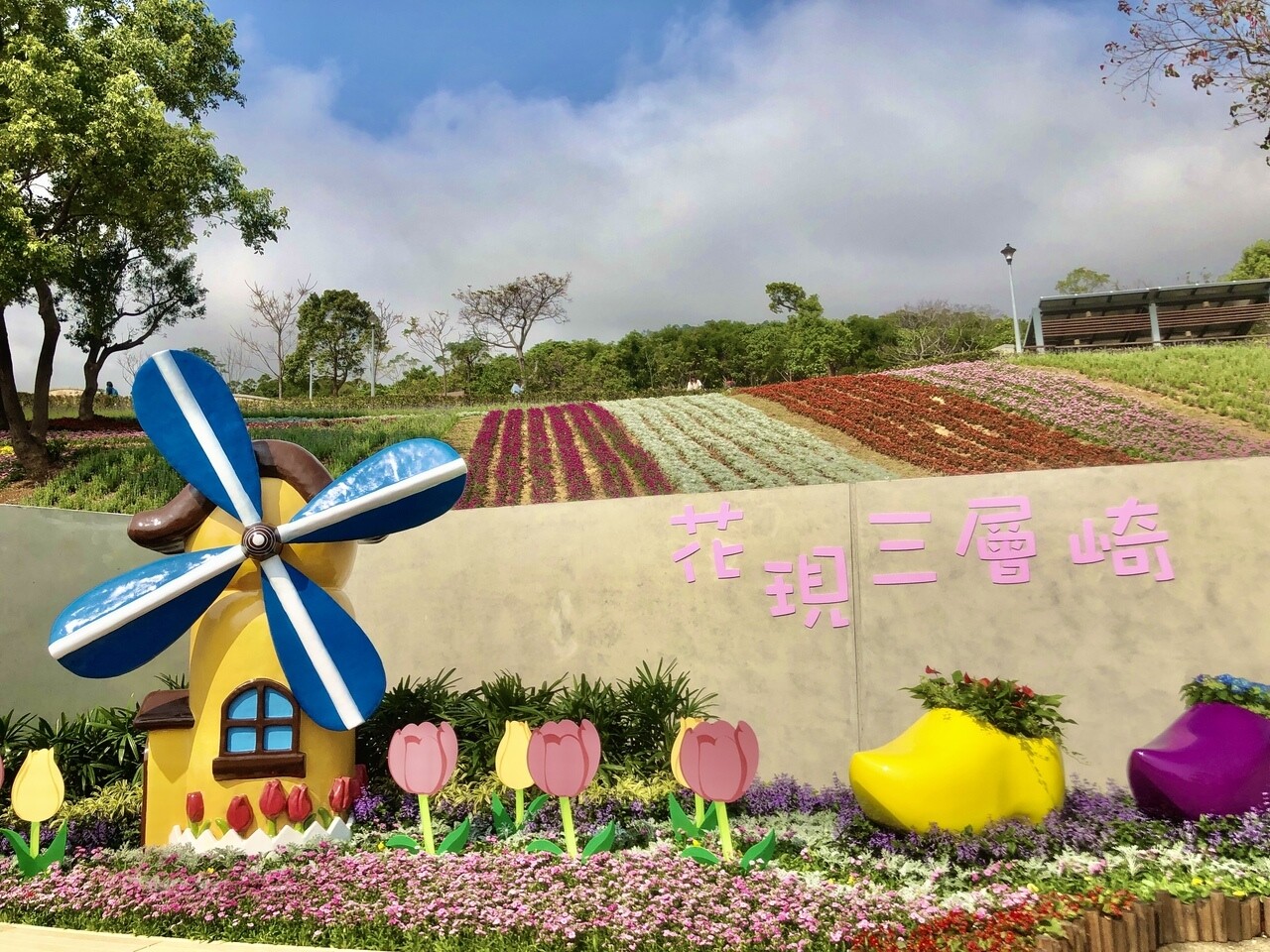 有台版富良野花海之稱的「北投社三層崎花季」昨(26)開幕。圖/聯合報資料照