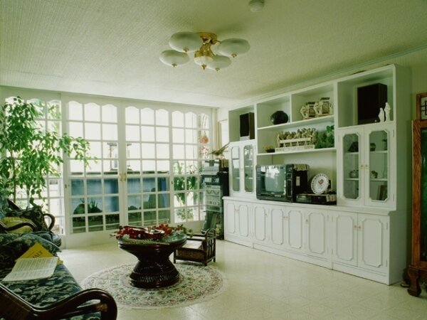 杜絕登革熱!如何打造一個「無蚊」的居家環境呢?(圖/好房資料中心)