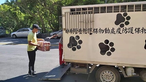 山區居民喜愛飼養寵物，定期舉辦公費疫苗及植晶片服務。圖／記者夏曉山攝