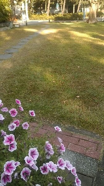寧靜的萬安公園，等待百花盛開。圖／彭柔安攝