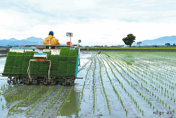 農水署接收國產署撥給2萬多筆土地成超大地主。示意圖。本報資料照片