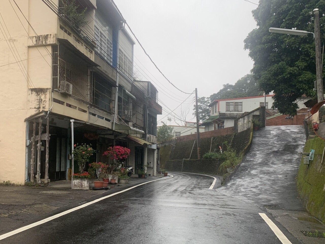 新竹縣橫山鄉竹35線道路新興村段縮減成單線道，假日車流時常壅塞。記者巫鴻瑋／攝影