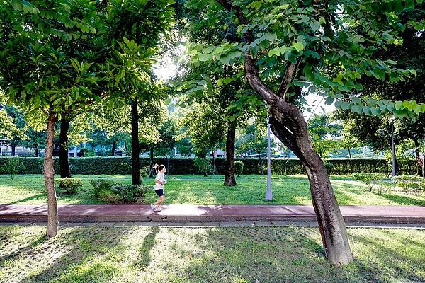 5800坪的玫瑰公園/海悅廣告提供