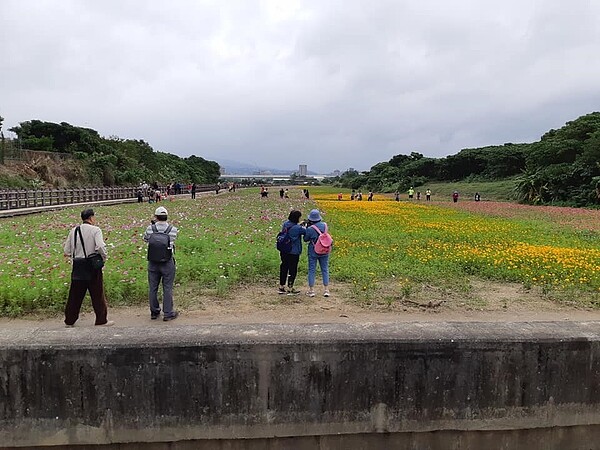 八仙里內的秘境花海每年皆吸引許多遊客造訪。圖／八仙里里長黃永清提供