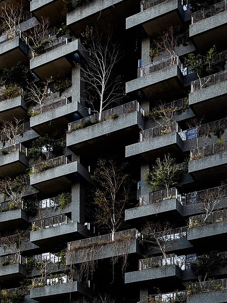 日前一名網友在臉書社團貼出一張綠化住宅造景已枯萎的照片，讓不少人喊道像鬼屋。圖／截自《路上觀察學院》