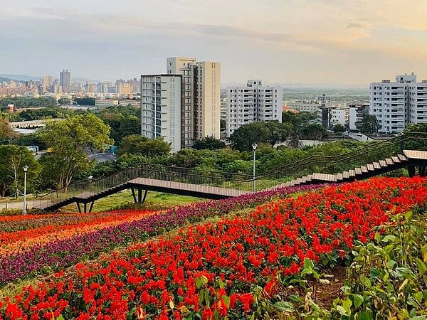 三層崎公園內每年都有花海季舉辦，吸引許多遊客到訪賞花。圖／秀山里里長陳壽彭提供