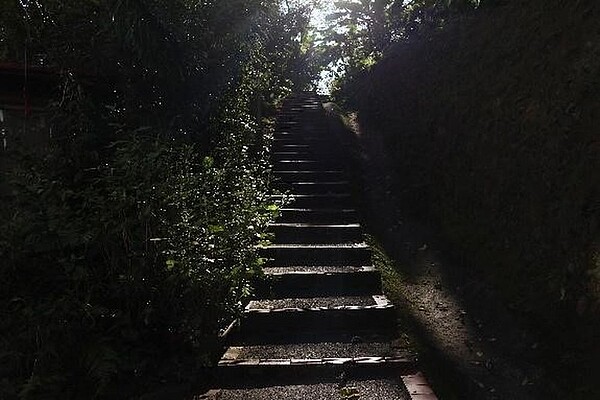 中埔山親山步道旁的階梯。（圖／郭宇璇攝）