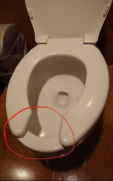 U型馬桶。圖/截自臉書社團《●【爆廢公社二館】●》