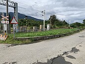 放牧牛隻屢撞火車　花東鐵路難題