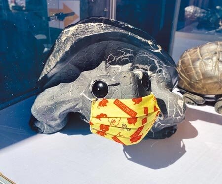 日月潭文武廟12日大年初一起,展出獨樹一格的「平安龜暨原石文創聯展」,各雕刻名家發揮創意,打造可愛又福氣的石龜作品。(黃立杰攝)