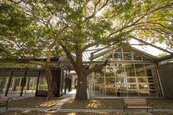 百年建築變身　新竹「紅磚玻璃屋」圖書館3月開放