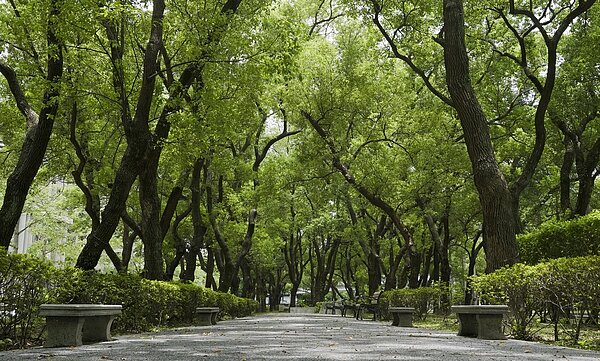 沉寂一段時間的仁愛路豪宅市場，再有新案登場，富邦建設 「富邦醴仁」 瞄準仁愛路二段積蓄已久的高端換屋需求，未演先轟動。
