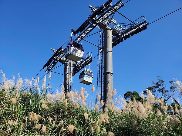 北捷「捷運假期」推出貓纜人氣4組產品，透過台北捷運GO APP購票還享優惠價。圖／北捷提供