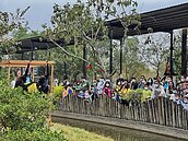 台南走春廟宇人潮第一名　預估超過3百萬人