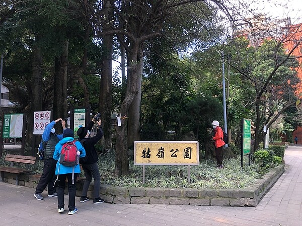 牯嶺公園時常吸引許多遊客駐足拍照，春天更有許多櫻花盛開。圖／馬聖傑攝