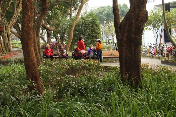 虎嘯公園常有里民跟在附近商業大樓工作的上班族休息，這裡的植被規劃也是出自詹仲琪設計。圖／郭又華攝