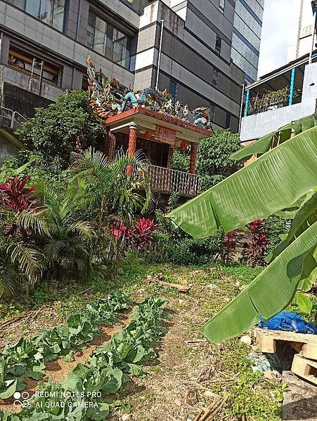 堤邊的土地公廟加入守望相助的行列。陳陸攝影