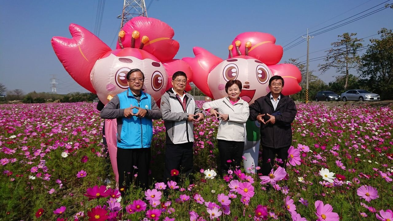 彰化縣埤頭鄉木棉花節今年雖停辦,鄉公所仍斥資製作兩個木棉花充氣公仔。圖/記者簡慧珍攝